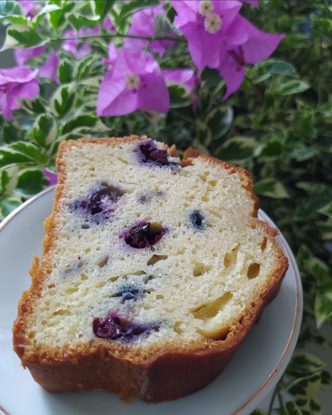 Screenshot_20230801-100107-01 Bizcocho de Arándanos - Imagen 1